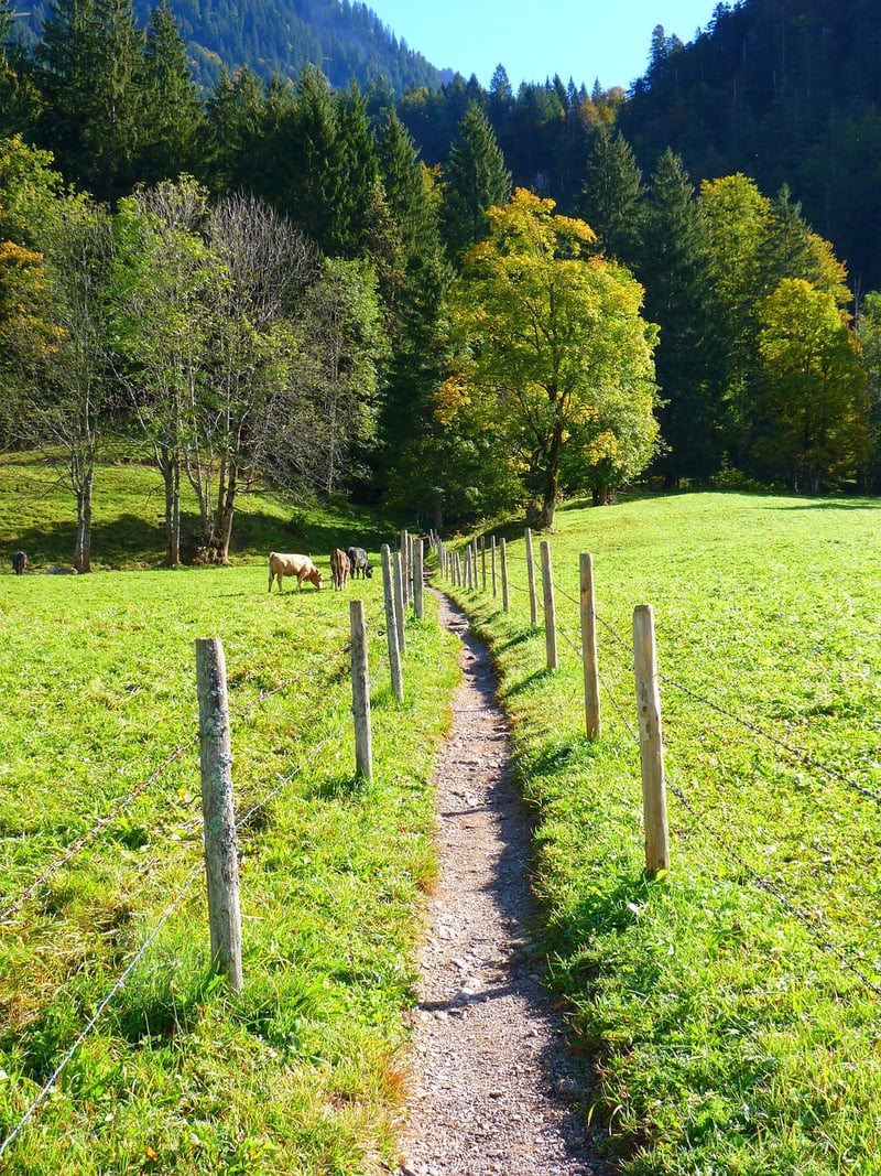 Off the Beaten Path
