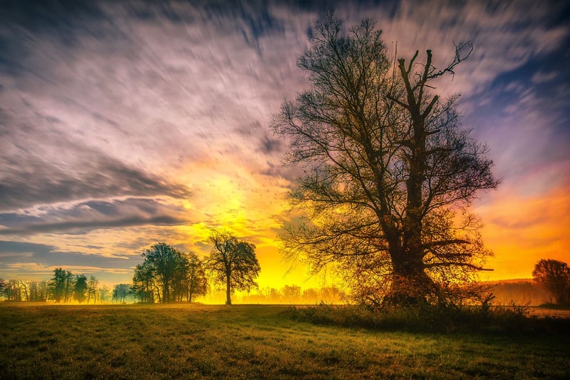 Scenic Landscape